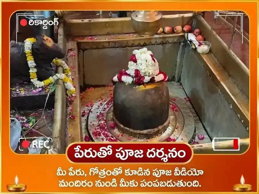 అగ్ని అశ్వ ప్రత్యేక కర్మ శుద్ధి సూర్య అష్టకం పారాయణం & స్వర్ణ అశ్వ చఢావా puja gallery 2