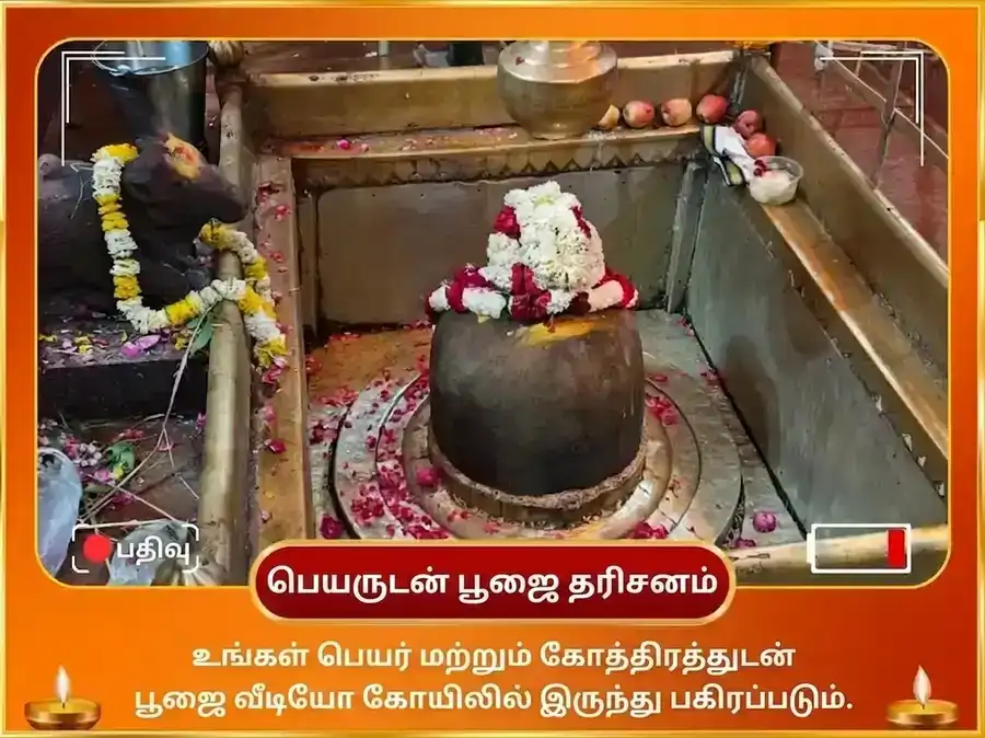 அக்னி குதிரை சிறப்பு கர்ம शुद्धि சூர்ய அஷ்டகம் பாராயணம் & ஸ்வர்ண அஸ்வ சமர்ப்பணம் puja gallery 2