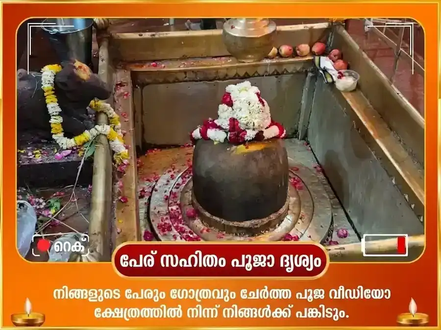 അഗ്നി അശ്വ പ്രത്യേക കർമ്മ ശുദ്ധീകരണ സൂര്യ അഷ്ടകം പാരായണവും സ്വർണ്ണ അശ്വ സമർപ്പണവും puja gallery 2