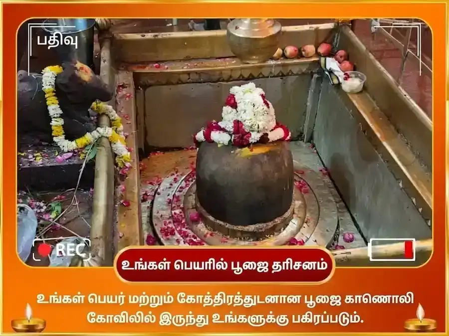 1:1 போர்ட்டல் விசேஷ 10,000 சூர்ய மூல மந்திர ஜபம் puja gallery 2