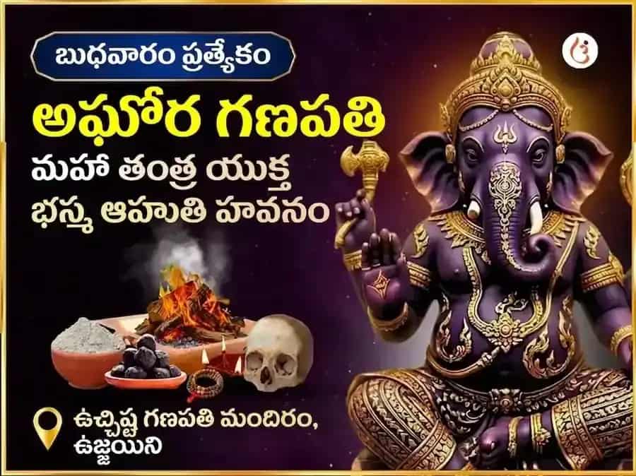 అఘోరి ఉచ్ఛిష్ట గణపతి మహా తంత్ర యుక్త భస్మ ఆహుతి హవనం puja image 1
