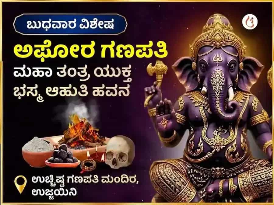 ಅಘೋರಿ ಉಚ್ಛಿಷ್ಟ ಗಣಪತಿ ಮಹಾ ತಂತ್ರ ಯುಕ್ತ ಭಸ್ಮ ಆಹುತಿ ಹವನ puja image 1