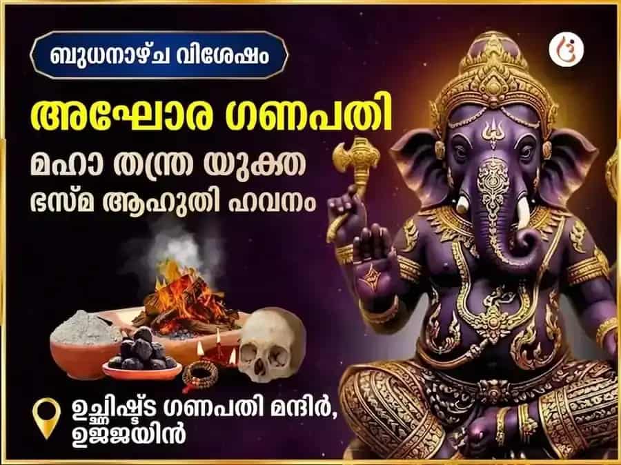 അഘോരി ഉച്ഛിഷ്ട ഗണപതി മഹാ തന്ത്ര യുക്ത് ഭസ്മ ആഹുതി ഹവൻ puja image 1