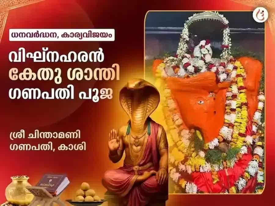സർവാർത്ഥ സിദ്ധി യോഗ വിശേഷ് ചിന്താമണി ഗണേശ വിഘ്നഹരൻ കേതു ശാന്തി മഹാപൂജ puja image 1