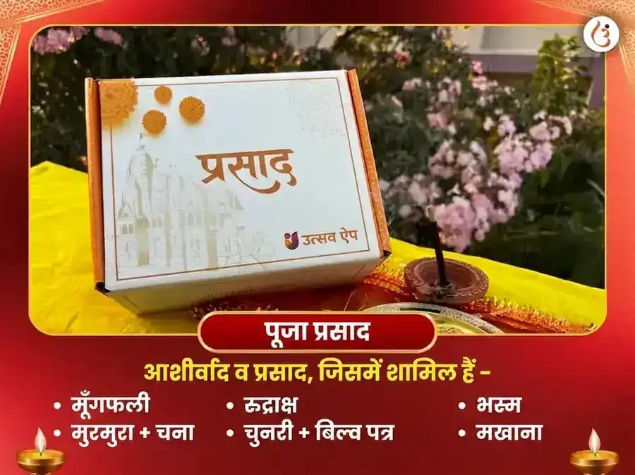 सर्वार्थ सिद्धि योग विशेष चिंतामणि गणेश विघ्नहरण केतु शांति महा पूजा puja gallery 3