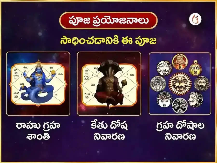 గురువార విశేష ఖాటు శ్యామ్ వారపు గులాబ్ దాన్ & ఇత్తర్ అర్పణ్ సేవ puja gallery 1
