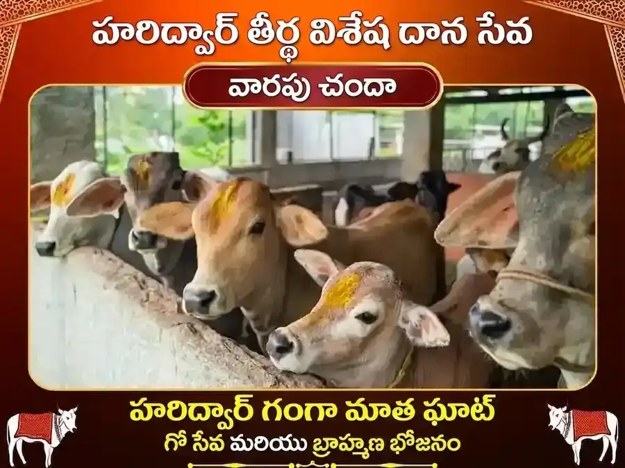 గురువార్ హరిద్వార్ గంగా ఘాట్ వారపు గౌ సేవ & బ్రాహ్మణ భోజన్ puja image 1