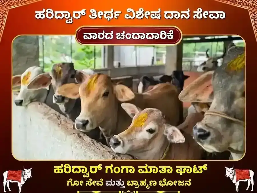 ಗುರುವಾರ ಹರಿದ್ವಾರ ಗಂಗಾ ಘಾಟ್ ಸಾಪ್ತಾಹಿಕ ಗೌ ಸೇವಾ ಮತ್ತು ಬ್ರಾಹ್ಮಣ ಭೋಜನ puja image 1