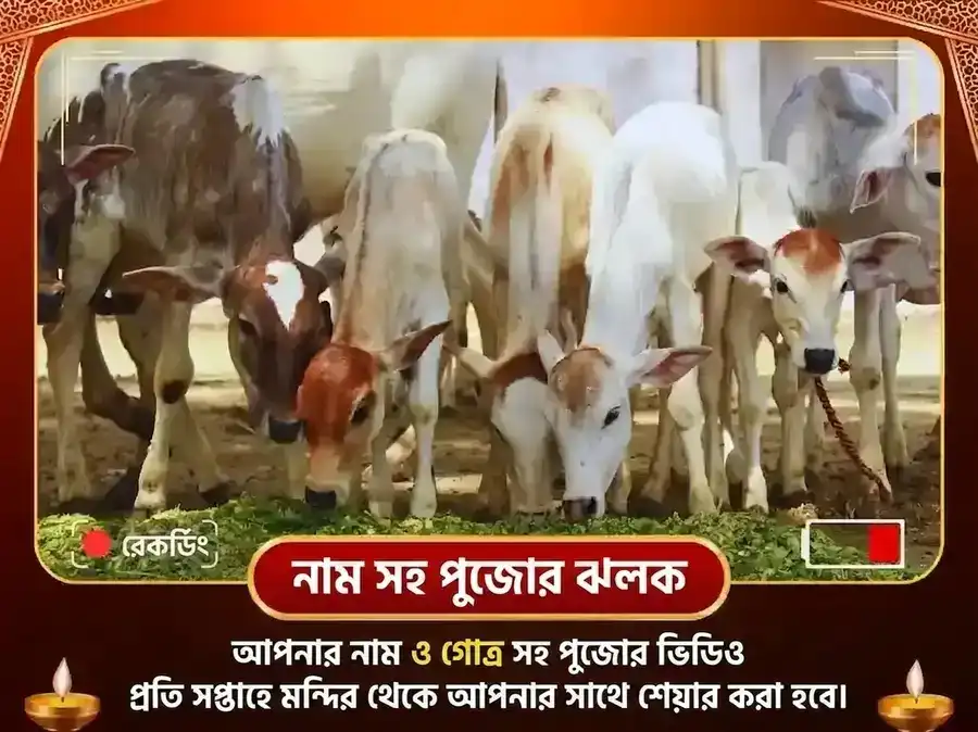 গুরুবার হরিদ্বার গঙ্গা ঘাটে সাপ্তাহিক গো সেবা ও ব্রাহ্মণ ভোজন puja gallery 4