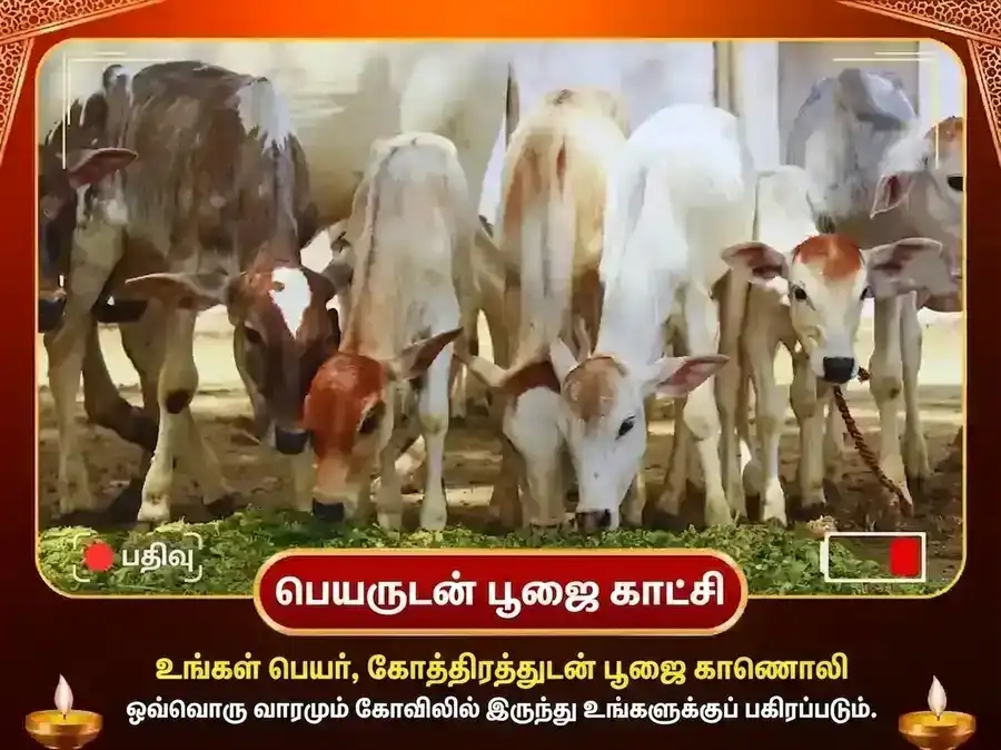 குருவார் ஹரித்வார் கங்கா காட் வாராந்திர கௌ சேவா & பிராமண போஜனம் puja gallery 4