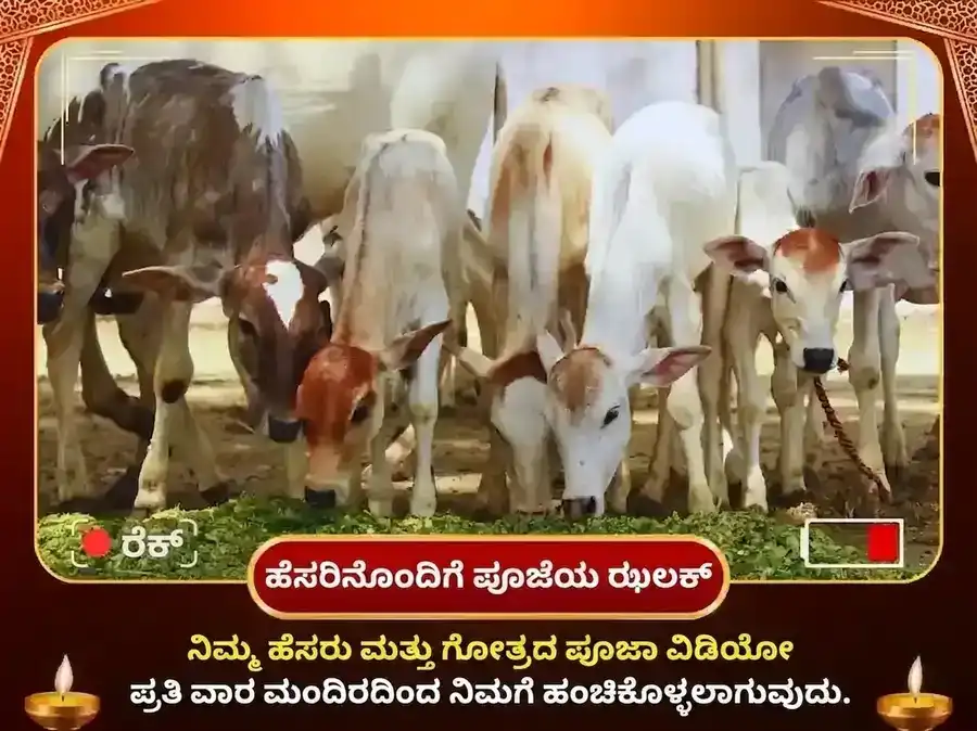 ಗುರುವಾರ ಹರಿದ್ವಾರ ಗಂಗಾ ಘಾಟ್ ಸಾಪ್ತಾಹಿಕ ಗೌ ಸೇವಾ ಮತ್ತು ಬ್ರಾಹ್ಮಣ ಭೋಜನ puja gallery 4