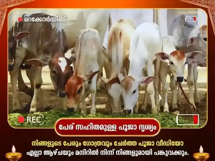 ഗുരുവാർ ഹരിദ്വാർ ഗംഗാ ഘട്ട് പ്രതിവാര ഗൗ സേവയും ബ്രാഹ്മണ ഭോജനും puja gallery 4