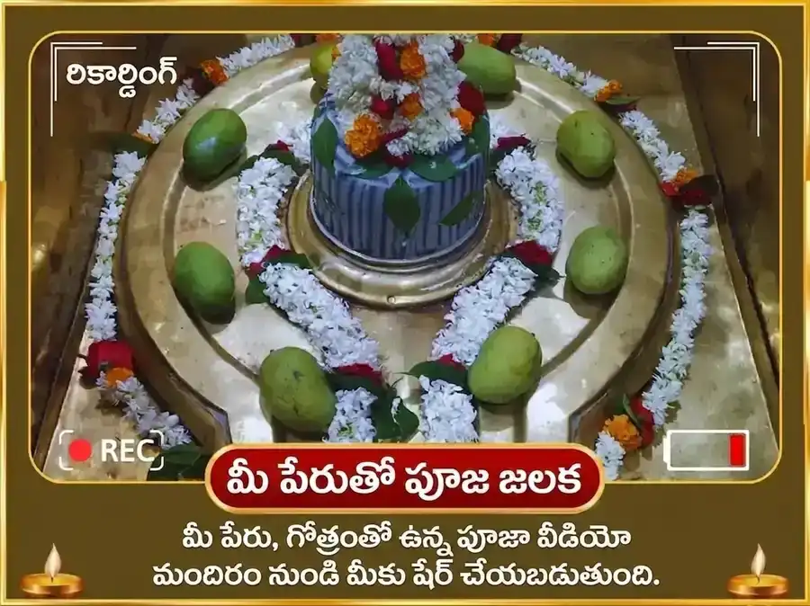 గురు మిథున రాశి మార్గి - 11000 బృహస్పతీశ్వర మూల మంత్ర జాప్ + గజ మూర్తి చఢావా puja gallery 2