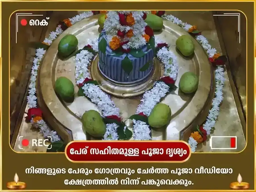 ഗുരു മിഥുനം രാശി മാർഗി - 11000 ബൃഹസ്പതീശ്വർ മൂലമന്ത്ര ജപം + ഗജമൂർത്തി സമർപ്പണം puja gallery 2