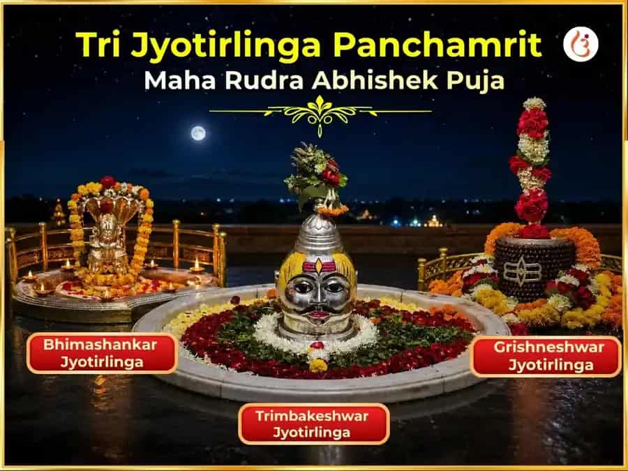Tri Jyotirlinga Panchamrit Maha Rudra Abhishek Puja puja image 1