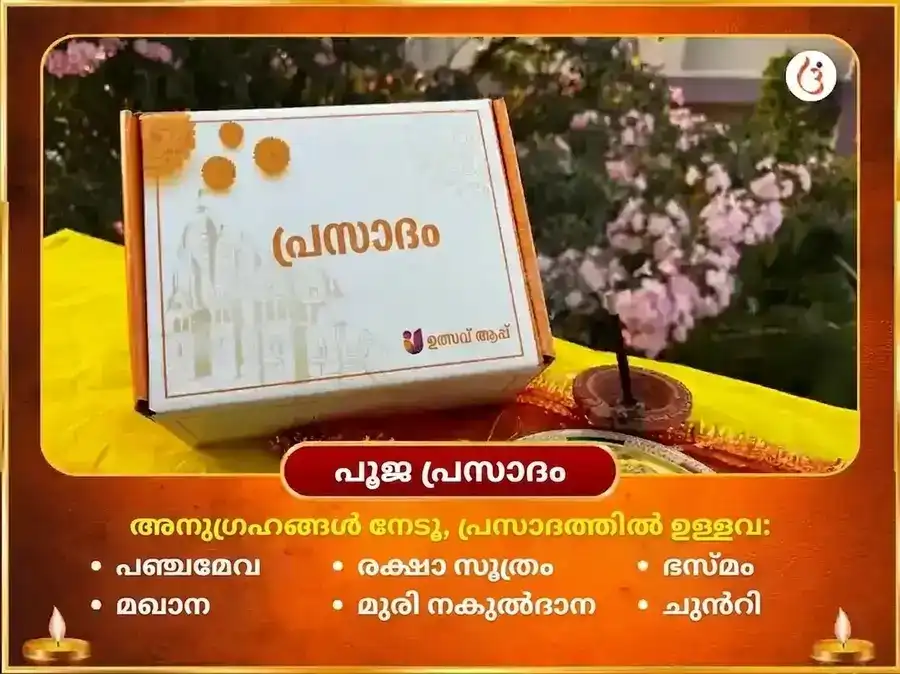 മാ ബഗളാമുഖി പ്രത്യംഗിര സംയുക്ത 18000 മൂലമന്ത്ര ജപവും നാരങ്ങാ മുളക് ഹവനവും puja gallery 3