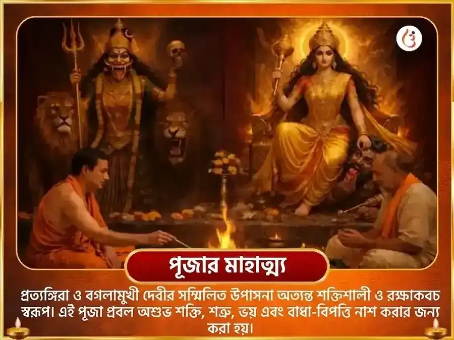 মা বগলামুখী প্রত্যঙ্গিরা সংযুক্ত 18000 মূল মন্ত্র জপ এবং লেবু লঙ্কা हवन puja gallery 4