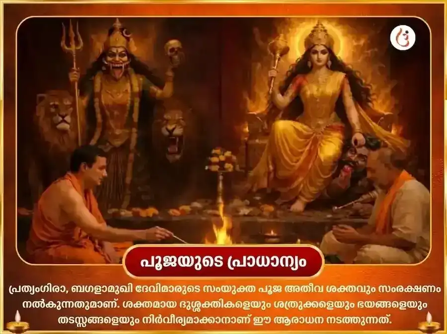 മാ ബഗളാമുഖി പ്രത്യംഗിര സംയുക്ത 18000 മൂലമന്ത്ര ജപവും നാരങ്ങാ മുളക് ഹവനവും puja gallery 4