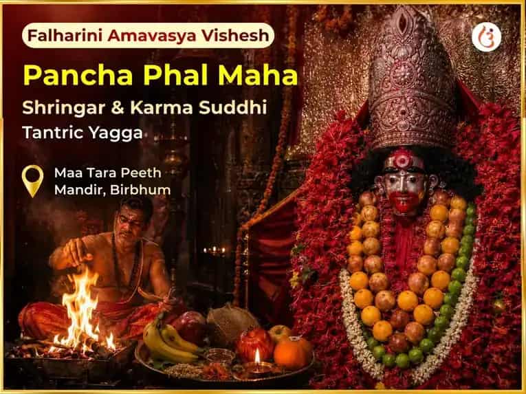 Falaharini Amavasya Vishesh Pancha Fal Maha Shringar & Karmic Suddhi Tantric Yagya  puja image 1