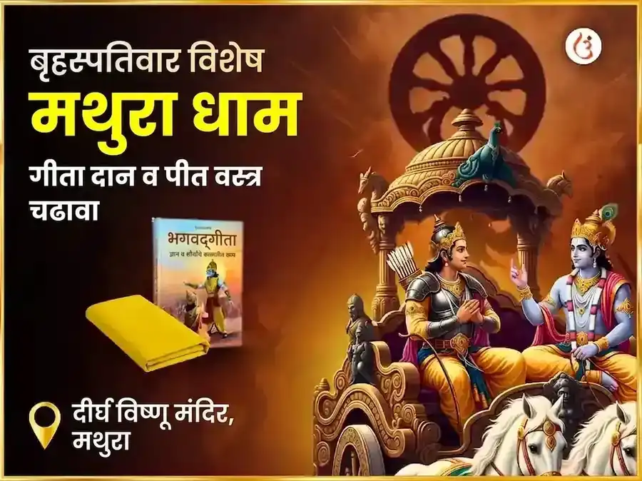 1008 विष्णु सर्व दोष निवारण मंत्र जाप, पीत वस्त्र आणि केळी दान puja image 1