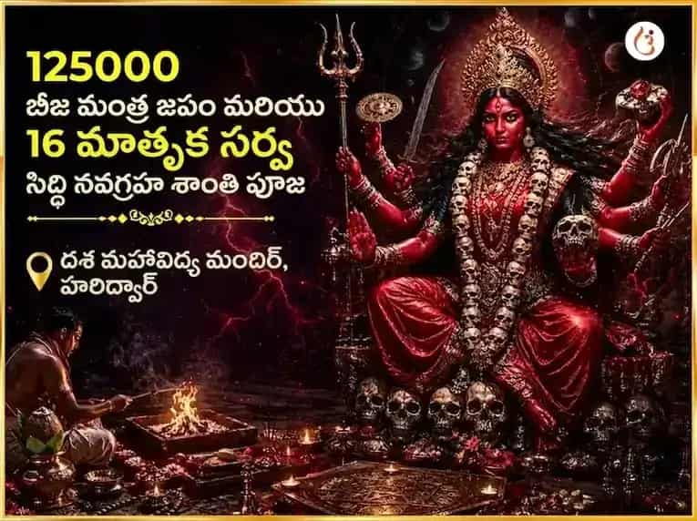 125000 బీజ మంత్ర జపం & 16 మాతృక సర్వ సిద్ధి నవగ్రహ శాంతి పూజ puja image 1