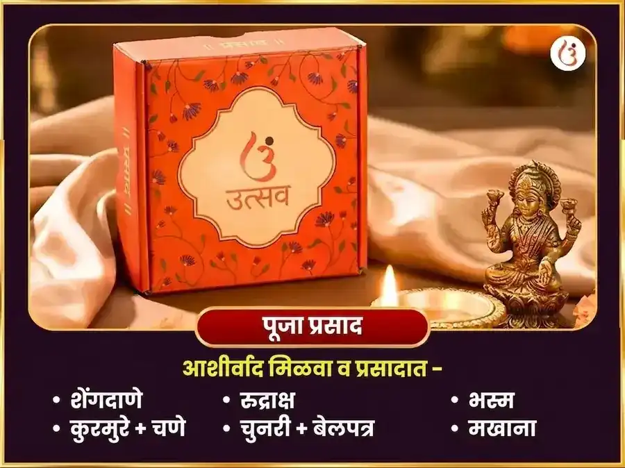 शुक्रवार विशेष अघोर लक्ष्मी धन समृद्धी तंत्रयुक्त महा हवन puja gallery 3