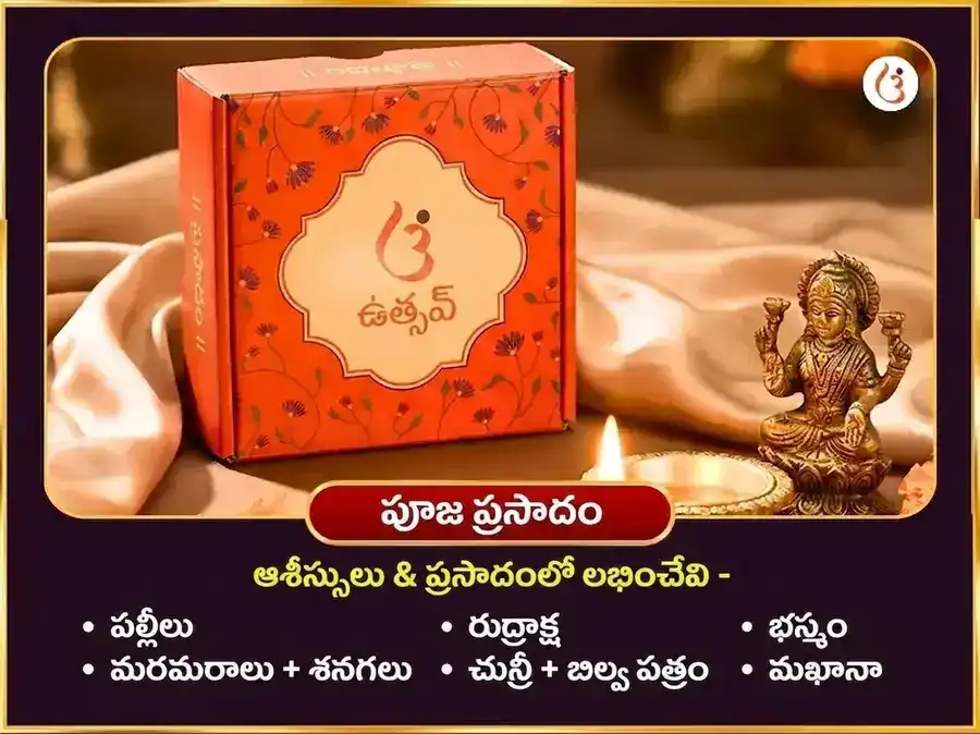 శుక్రవార విశేష్ అఘోర లక్ష్మి ధన సమృద్ధి తంత్రయుక్త మహా హవనం puja gallery 3