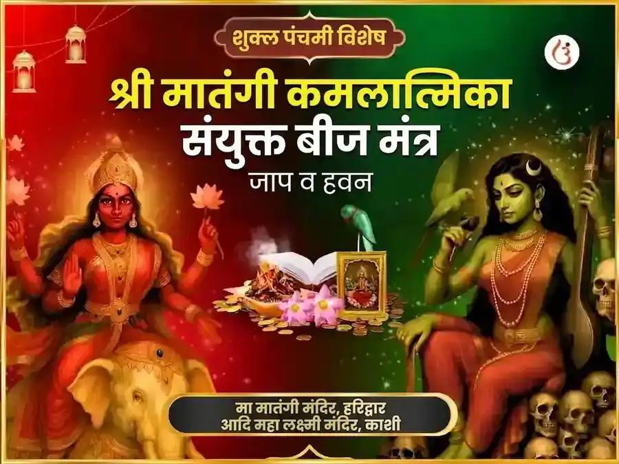 श्री कमलात्मिका मातंगी संयुक्त बीज मंत्र जाप आणि हवन puja image 1