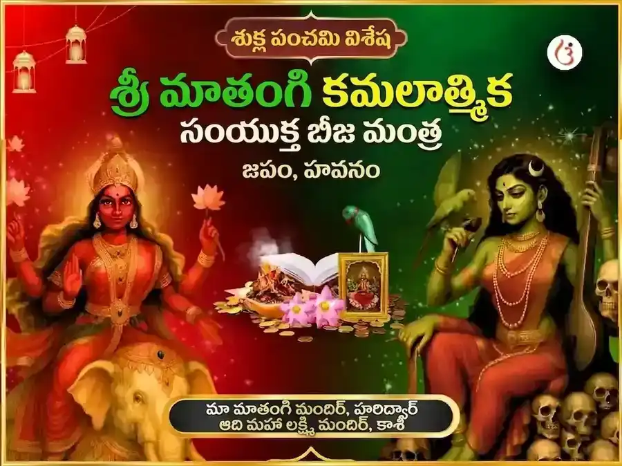 శ్రీ కమలాత్మికా మాతంగి సంయుక్త బీజ మంత్ర జప & హవనం puja image 1