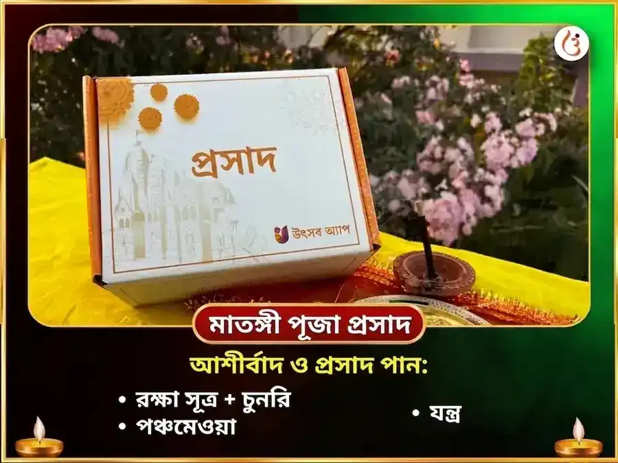 শ্রী কমলাত্মিকা মাতঙ্গী সংযুক্ত বীজ মন্ত্র জপ ও हवन puja gallery 3