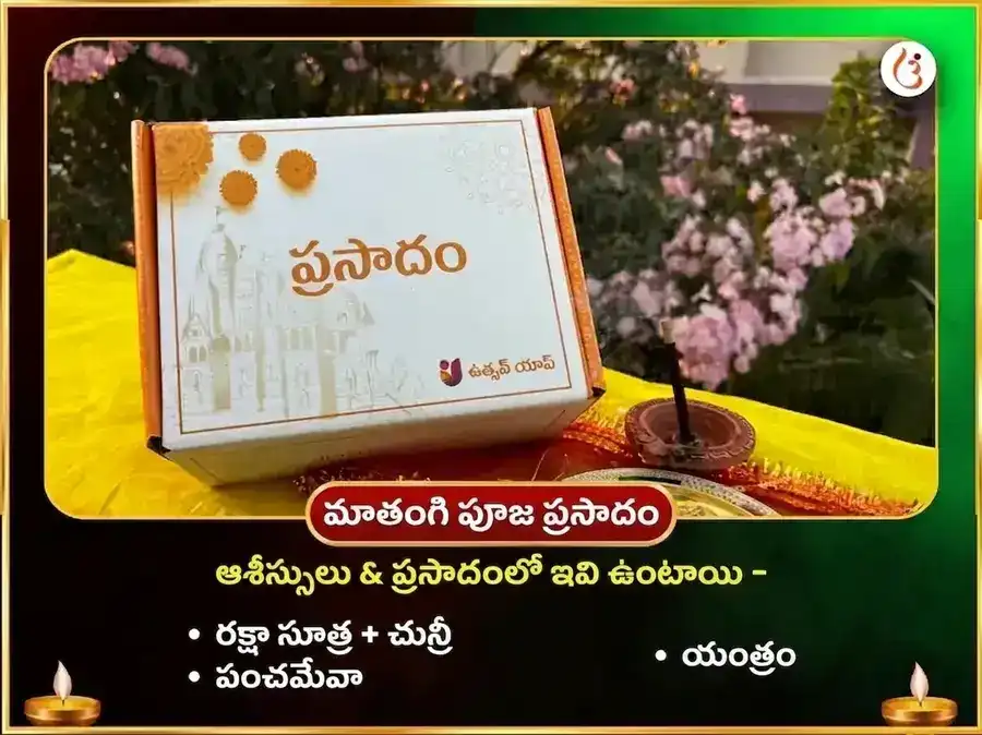 శ్రీ కమలాత్మికా మాతంగి సంయుక్త బీజ మంత్ర జప & హవనం puja gallery 3