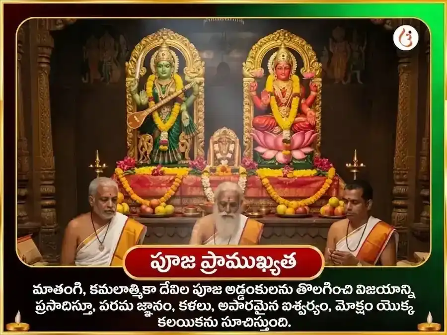 శ్రీ కమలాత్మికా మాతంగి సంయుక్త బీజ మంత్ర జప & హవనం puja gallery 5