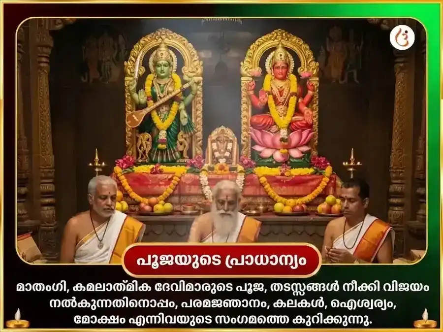 ശ്രീ കമലാത്മിക മാതംഗി സംയുക്ത ബീജ മന്ത്ര ജപവും ഹവനവും puja gallery 5