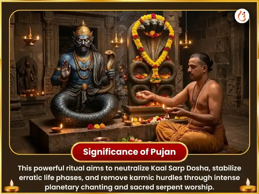 Rahu Ketu Niayantran Graha Shanti 21000 Beej Mantra Jaap & Sahsra Naag Abhishekam puja gallery 5