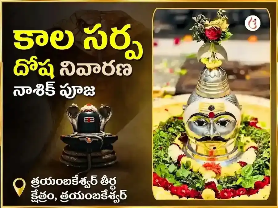 త్రయంబకేశ్వర్ నాసిక్ కాల సర్ప దోష నివారణ పూజ puja image 1