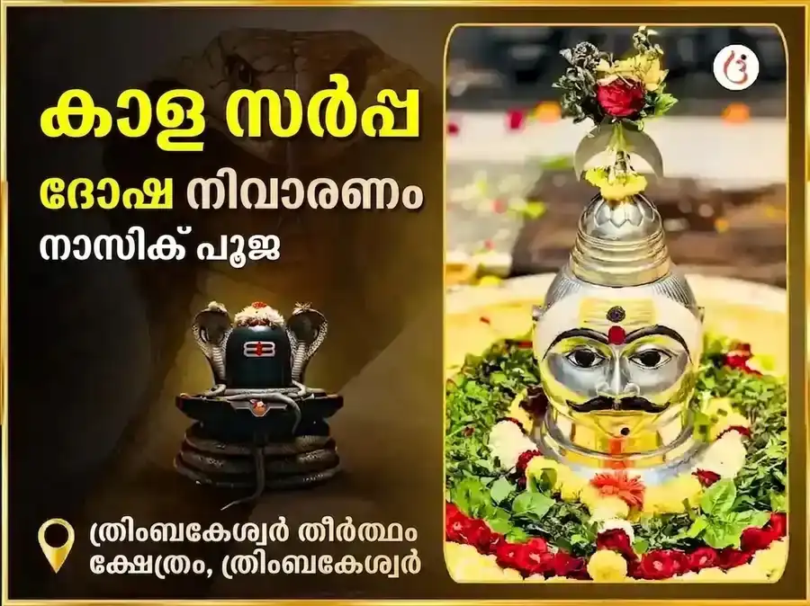 ത്ര്യംബകേശ്വർ നാസിക് കാളസർപ്പ ദോഷ നിവാരണ പൂജ puja image 1