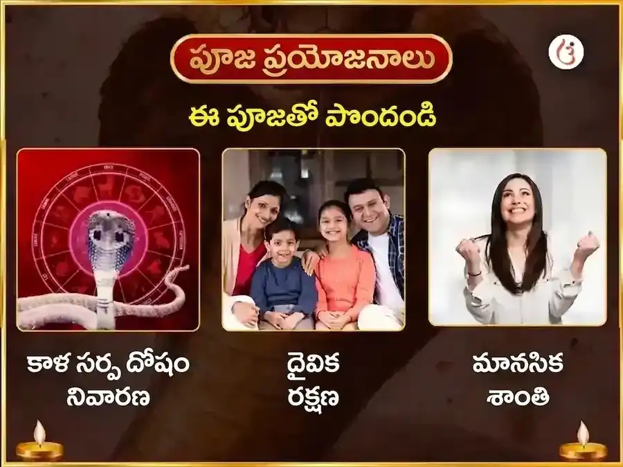 త్రయంబకేశ్వర్ నాసిక్ కాల సర్ప దోష నివారణ పూజ puja gallery 1