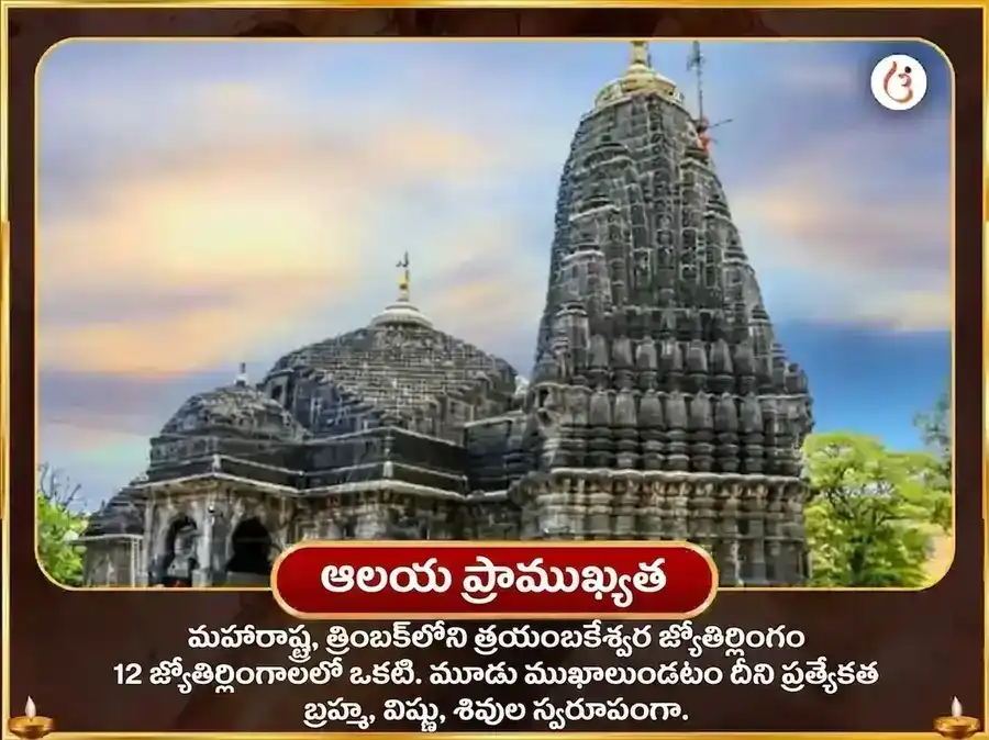 త్రయంబకేశ్వర్ నాసిక్ కాల సర్ప దోష నివారణ పూజ puja gallery 4