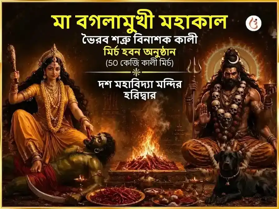 পূর্ণিমা বিশেষ মা বগলামুখী মহাকাল ভৈরব শত্রু বিনাশক কালী মির্চ হবন puja image 1