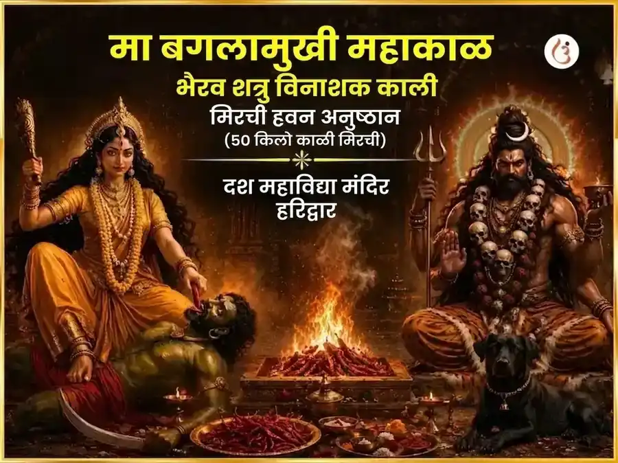पौर्णिमा विशेष माँ बगलामुखी महाकाल भैरव शत्रु विनाशक काळी मिरी हवन puja image 1