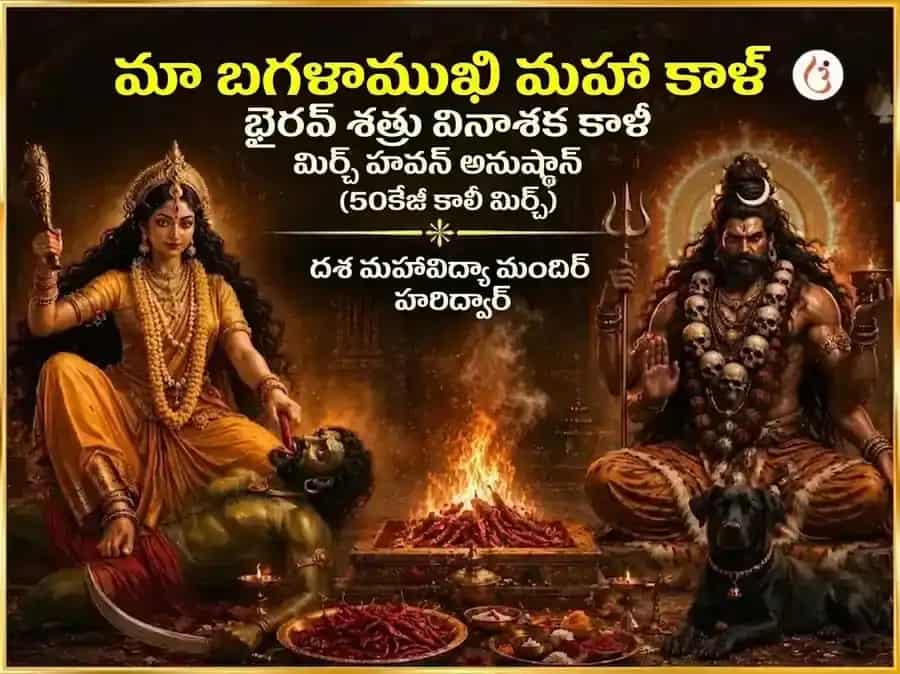 పూర్ణిమ విశేష్ మా బగళాముఖి మహా కాళ్ భైరవ్ శత్రు వినాశక్ కాళీ మిర్చ్ హవన puja image 1