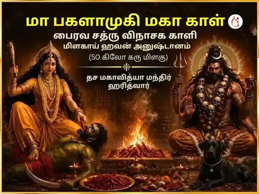 பௌர்ணமி விசேஷ மா பக்ளாமுகி மஹா கால பைரவர் சத்ரு விநாசக காளி மிர்ச் ஹவன் puja image 1