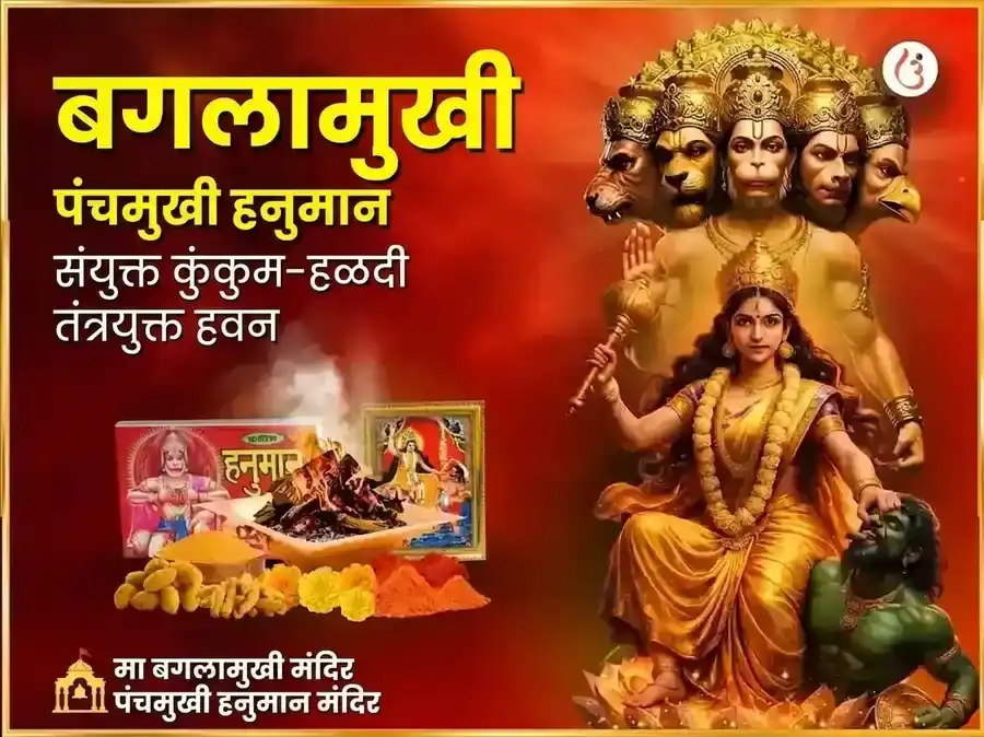 माँ बगलामुखी पंचमुखी हनुमान संयुक्त कुंकुम हळदी तंत्रयुक्त महा हवन puja image 1