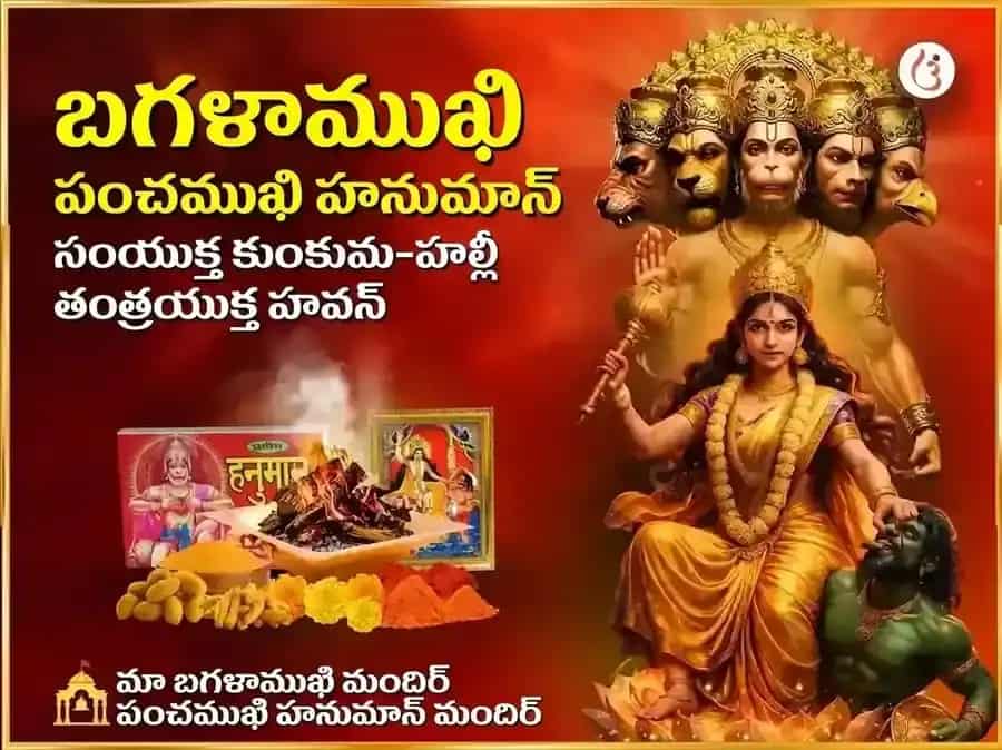మా బగళాముఖి పంచముఖి హనుమాన్ సంయుక్త కుంకుమ హల్దీ తంత్రయుక్త మహా హవనం puja image 1
