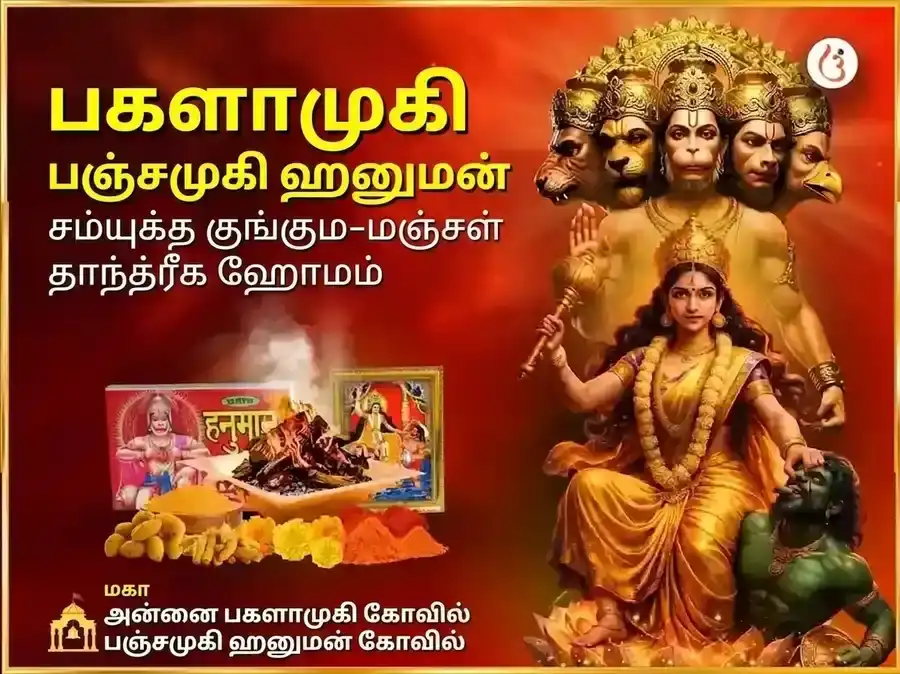 மா பகளாமுகி பஞ்சமுகி ஹனுமான் சன்யுக்த் குங்கும மஞ்சள் தந்த்ரயுக்த் மகா ஹோமம் puja image 1