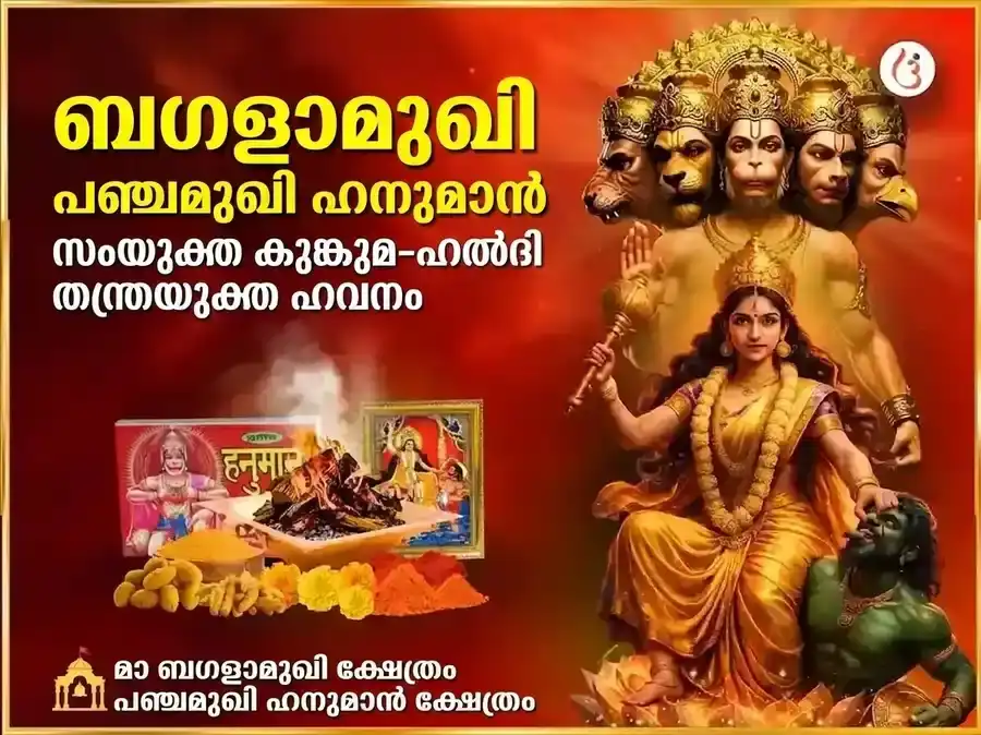 മാ ബഗളാമുഖി പഞ്ചമുഖി ഹനുമാൻ സംയുക്ത് കുങ്കുമം ഹൽദി തന്ത്രയുക്ത് മഹാ ഹവൻ puja image 1