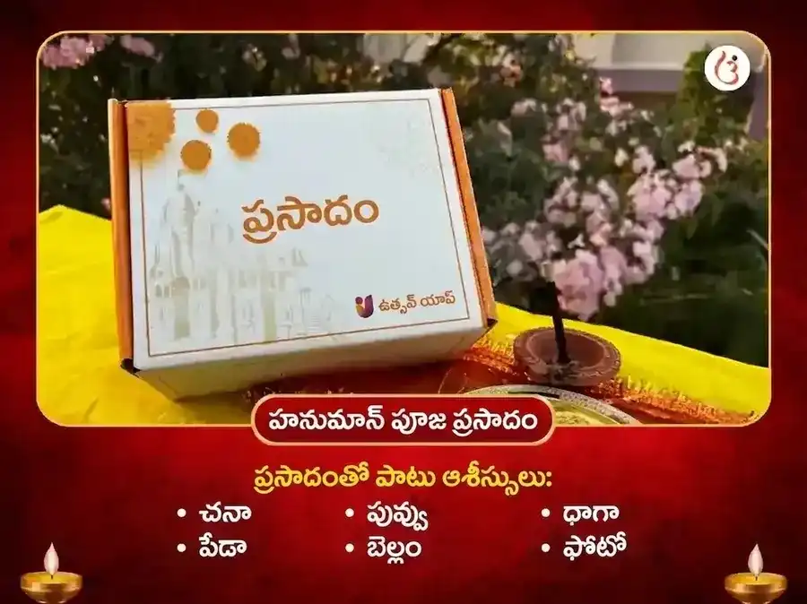 మా బగళాముఖి పంచముఖి హనుమాన్ సంయుక్త కుంకుమ హల్దీ తంత్రయుక్త మహా హవనం puja gallery 4