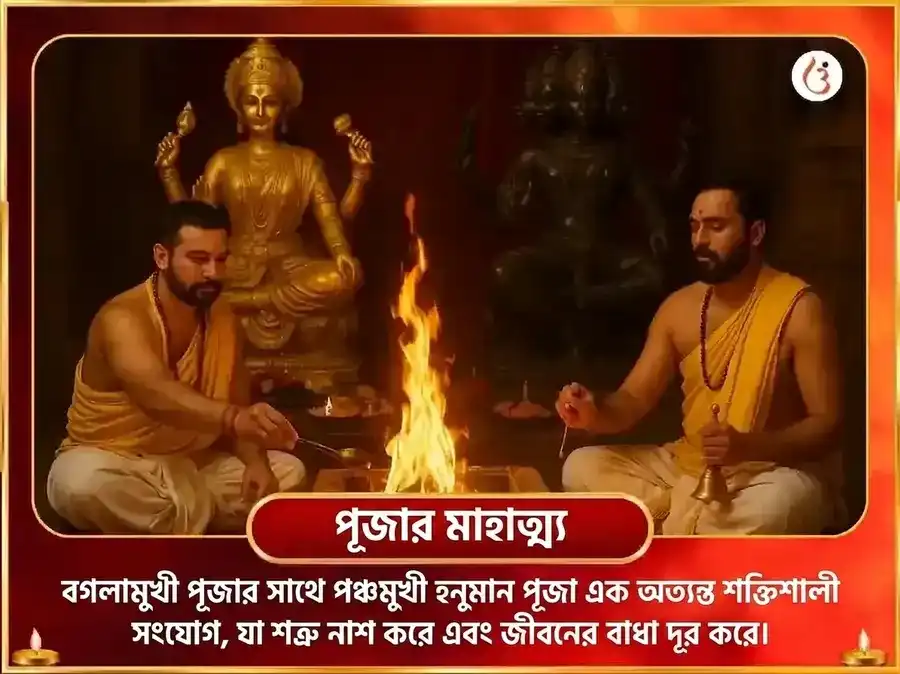 মা বগলামুখী পঞ্চমুখী হনুমান সংযুক্ত কুমকুম হলদি তন্ত্রযুক্ত মহা হবন puja gallery 5