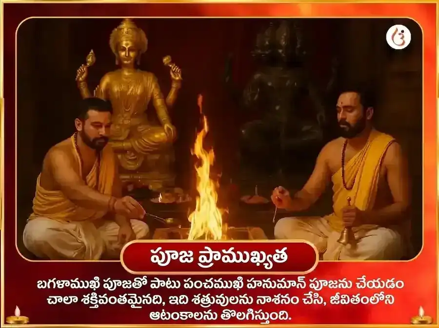 మా బగళాముఖి పంచముఖి హనుమాన్ సంయుక్త కుంకుమ హల్దీ తంత్రయుక్త మహా హవనం puja gallery 5