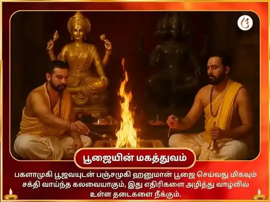 மா பகளாமுகி பஞ்சமுகி ஹனுமான் சன்யுக்த் குங்கும மஞ்சள் தந்த்ரயுக்த் மகா ஹோமம் puja gallery 4